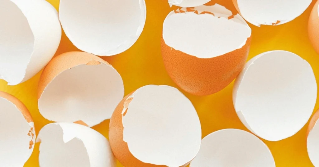 can dogs eat eggshells?