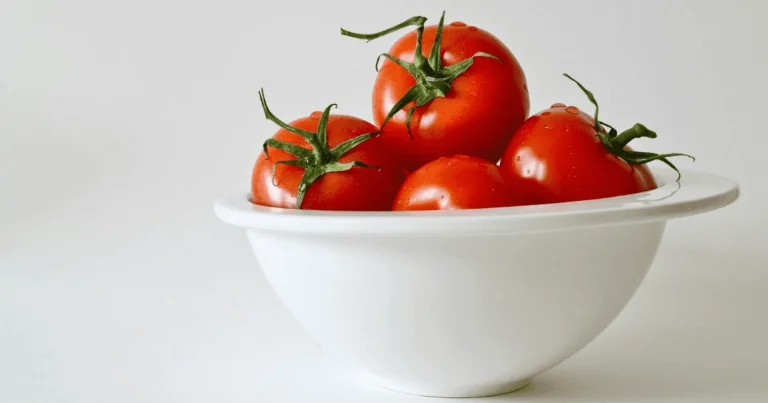 Can Dogs Eat Tomatoes? The Shocking Truth Every Pet Owner Must Know!"
