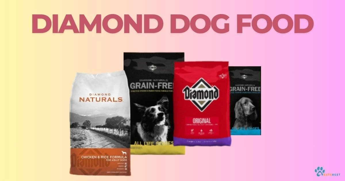 Is Diamond Dog Food Good?