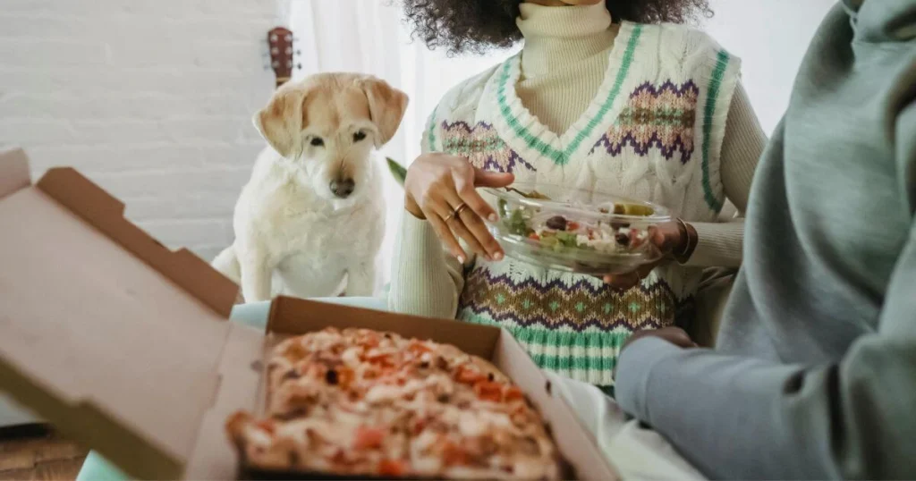 can dogs eat pizza