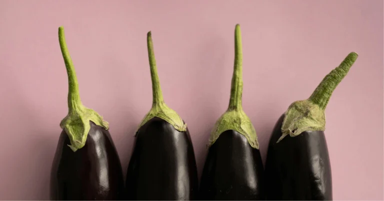 Can Dogs Eat Aubergines?