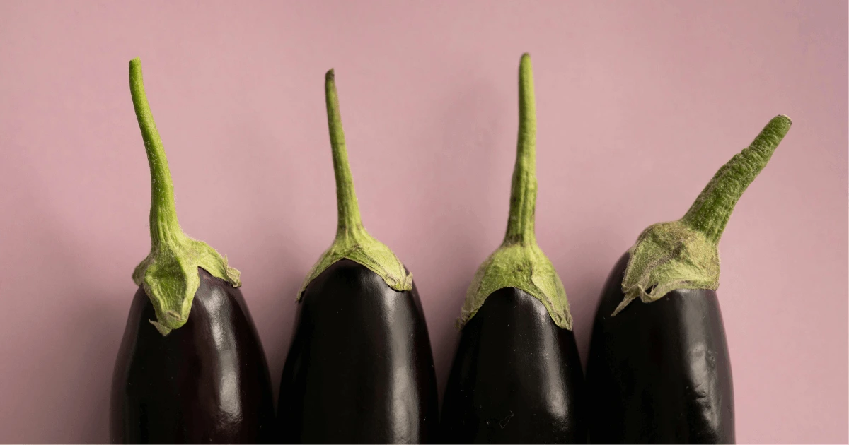 Can Dogs Eat Aubergines?