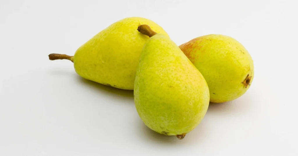 Can dogs eat pears with skin