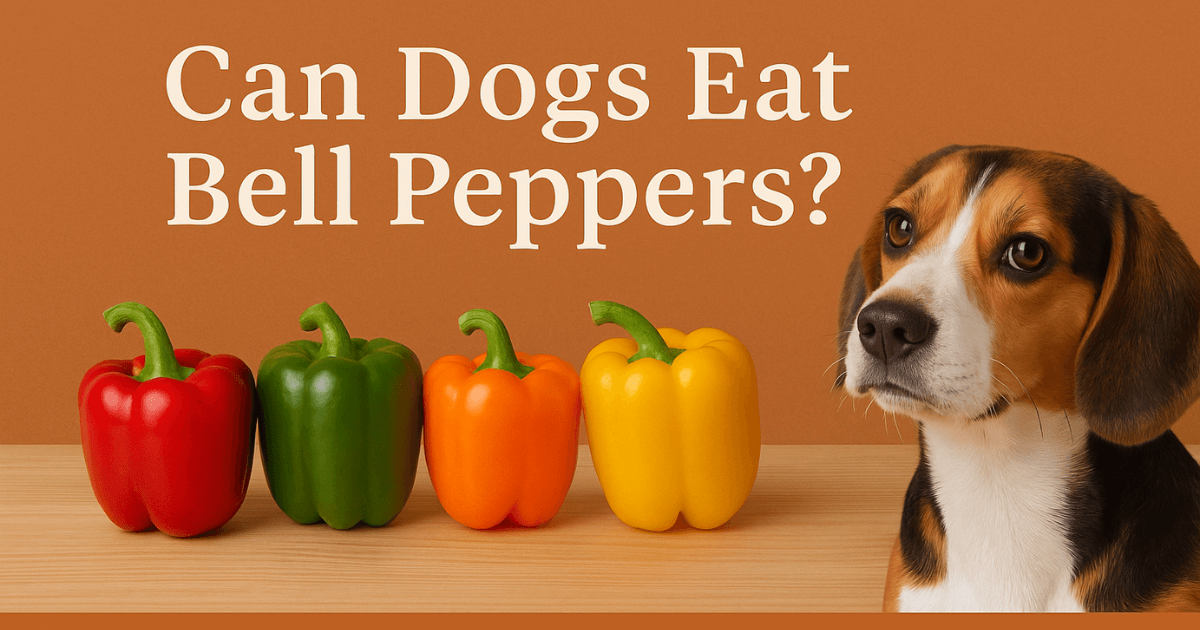 Dog sniffing colorful bell peppers with curious expression – can dogs eat bell peppers?