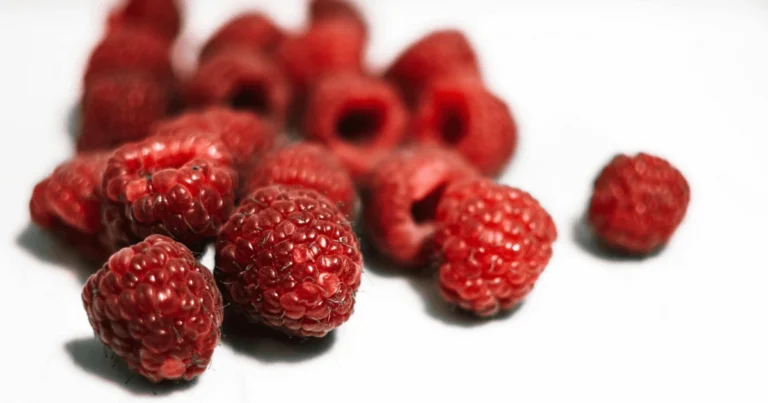 Can Dogs Eat Raspberries