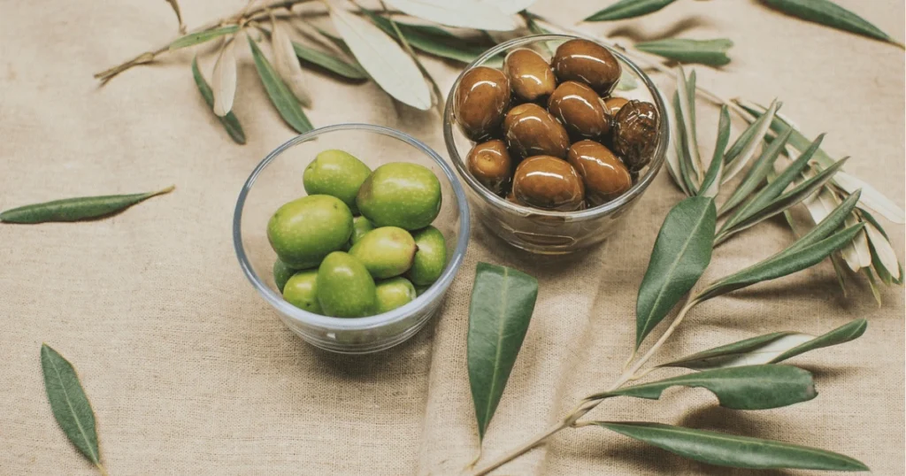 Can Dogs Eat Green Olives